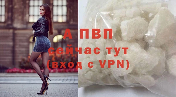 спиды Михайлов