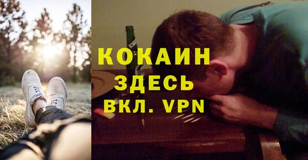 спиды Михайлов